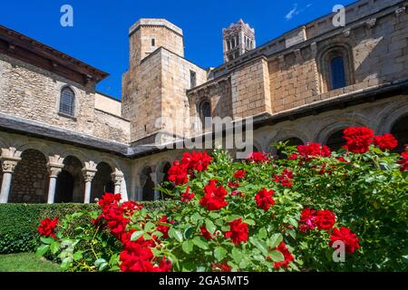 Coister von Sant Miquel, Klöster der romanischen Kathedrale von Santa Maria in La Seu d'Urgell, Lleida, Katalonien, Spanien. Die Kathedrale von Santa Mar Stockfoto