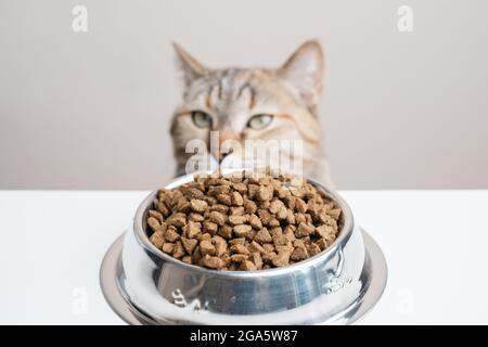 Im Vordergrund befindet sich eine Stahlschale voller trockener Nahrung. Stockfoto