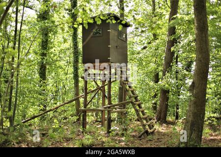 Hunter hoher Sitz im Wald Stockfoto