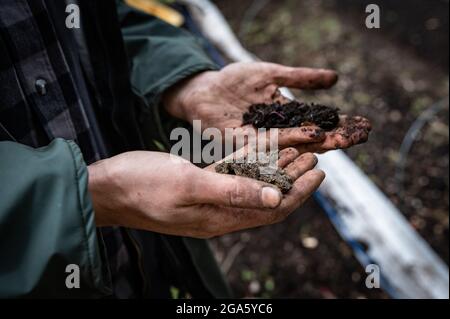 Ein Mann Landwirt analysiert die Fruchtbarkeit des Landes in seinen Händen Stockfoto