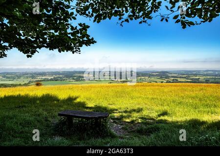Der Blick über die englische Landschaft von Win Green Hill, dem höchsten Punkt der cranborne-Verfolgungsjagd in südengland, großbritannien. Stockfoto
