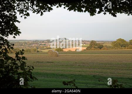 Runde Heuballen stehen auf einem Feld, eingerahmt von Bäumen Stockfoto