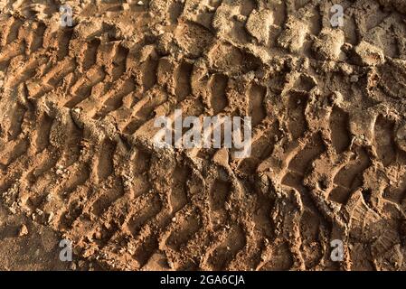Fußabdruck der Lauffläche auf der Bodenstraße. Die Spur von der Lauffläche der LKW-Räder. Reifenprofil-Aufdruck auf Sand, Hintergrund, Textur. Stellfläche Stockfoto