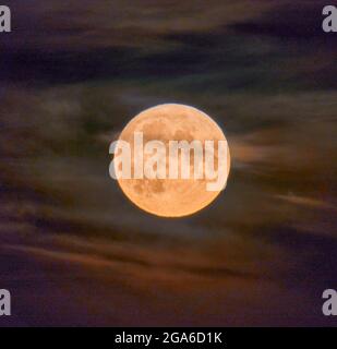 Buck- oder Hay-Mond aus Glasgow, Schottland, wenn er kurz nach Sonnenuntergang aufsteigt. Die untergehende Sonne erhellt die Wolken hinter dem Mond. Stockfoto