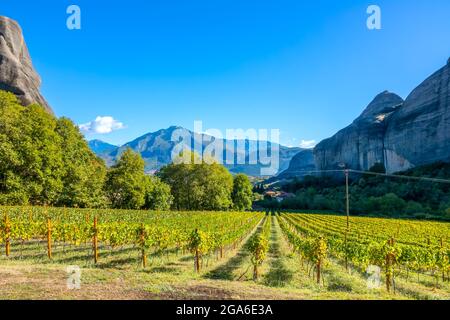 Sonniger Sommertag in den Felsen des griechischen Kalambaka. Weinberg, der zum Felsenkloster von Meteora gehört Stockfoto