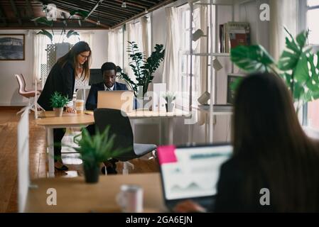 Verschiedene Kollegen arbeiten im Büro zusammen Stockfoto