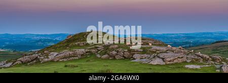 Sonnenuntergang über Feldern in Haytor Rocks, Dartmoor Park, Devon, England Stockfoto