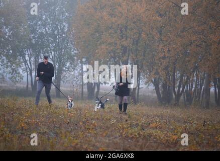 Glückliches junges Familienpaar mit zwei Hunden, die im Herbstpark laufen Stockfoto