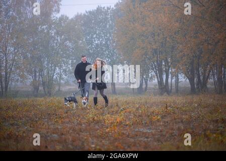 Glückliches junges Familienpaar mit zwei Hunden, die im Herbstpark laufen Stockfoto
