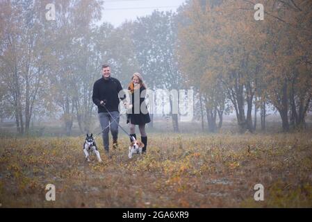 Glückliches junges Familienpaar mit zwei Hunden, die im Herbstpark laufen Stockfoto