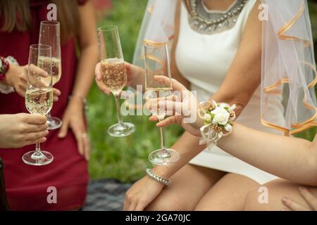 Die Mädchen halten eine Brille in den Händen. Freunde trinken Wein bei einem Picknick. Mädchen in der Natur trinken Alkohol. Sommerurlaub. Frauen in Kleidern sind Hol Stockfoto