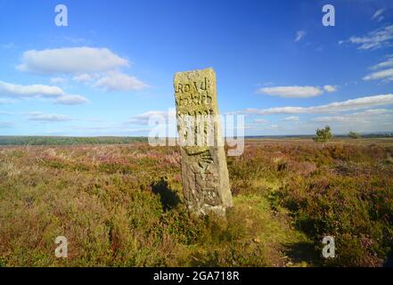 heidekraut durch Markierungsstein zum Kirbymoorside in der Nähe von hutton le hole nördlich yorkshire Moors vereinigtes Königreich Stockfoto