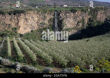 Landschaft von Sizilien im Frühjahr Lavaschluchten des Flusses Simeto mit Wasserfall und kultiviertes Land mit Obstgarten von Birne in Blüte Stockfoto
