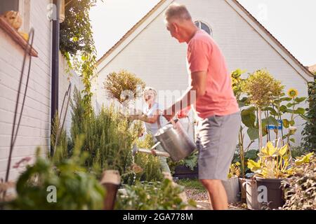 Rentnerpaar Bei Der Arbeit Bewässerung Und Pflege Von Pflanzen Im Garten Zu Hause Stockfoto