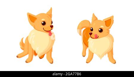 Verspielte chihuahua Hunde mit Zungen. Sitzende und stehende chihuahua Welpen mit lockigen Schwänzen isoliert auf weißem Hintergrund. Vektor-Illustration in niedlich Stock Vektor
