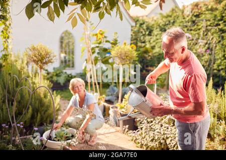 Rentnerpaar Bei Der Arbeit Bewässerung Und Pflege Von Pflanzen Im Garten Zu Hause Stockfoto
