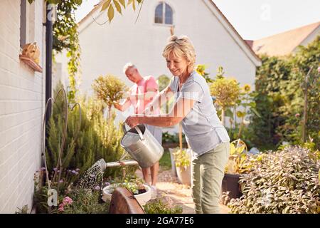 Rentnerpaar Bei Der Arbeit Bewässerung Und Pflege Von Pflanzen Im Garten Zu Hause Stockfoto