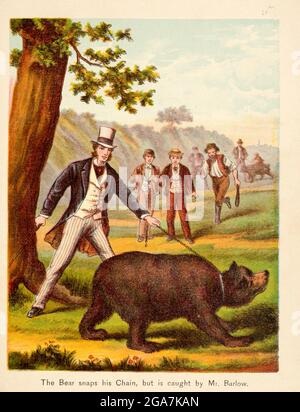 The Bear Snaps His Chain but caught by Mr. Barlow from the Book ' Sandford and Merton : in words of One Silbe ' von Thomas Day, Mary Godolphin and Lucy Aikin, Publishers, in New York veröffentlicht von McLoughlin Brother's Stockfoto