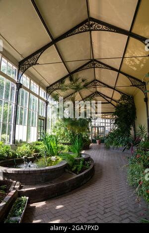 Im Wintergarten in Buxton Pavilion Gardens, Derbyshire, England. Stockfoto