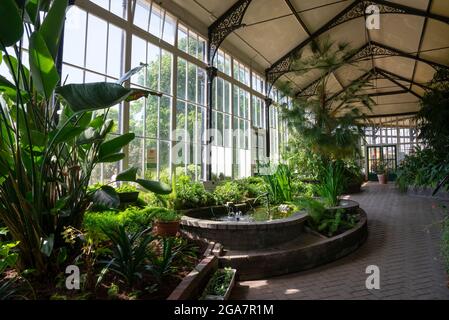 Im Wintergarten in Buxton Pavilion Gardens, Derbyshire, England. Stockfoto