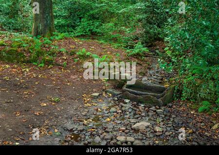 Die sehr alte Trap Lane in Bents Green in Sheffield, mit Blick nach Süden in ein kleines Tal, mit einem alten Steintrog, der Wasser aus dem Bach sammelt. Stockfoto