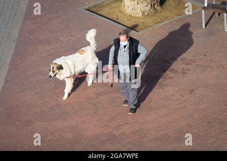 Älterer Mann mit Maske, der mit seinem Hund auf einer Straße läuft. Stockfoto