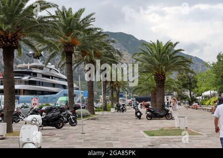 Kotor, Montenegro - 20. Juli 2021 Promenade mit Touristen im Hafen mit Palmen in Kotor Stadt an einem Sommertag Stockfoto