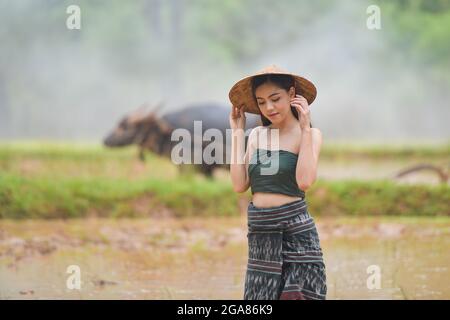 Die Farmer Pflanzen auf dem Bio Reisfeld, thailand Stockfoto