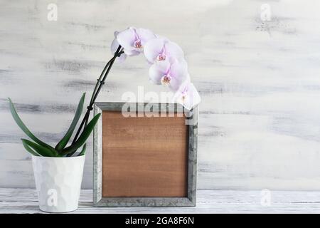 Leeres Holz Bauernhaus Schild oder Bilderrahmen mit einer rosa blühenden Orchidee über einem rustikalen Tisch mit weißem Holz Hintergrund. Freier Speicherplatz für Text. Stockfoto