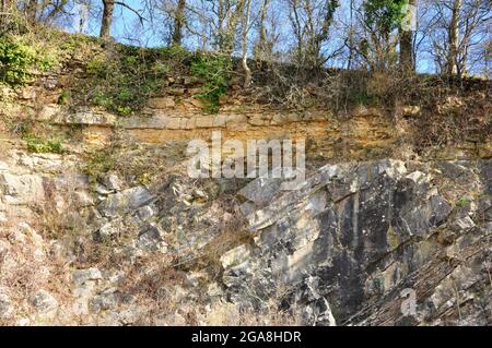 De la Beche geologische unconformity Gelb unterlegen Oolite Kalkstein ruht auf einem steil eintauchenden grau Karbon Kalkstein. Somerset UK Stockfoto