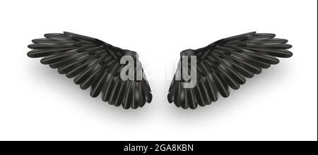 Vektor-Paar von schwarzen realistischen Flügeln auf weißem Hintergrund Stock Vektor