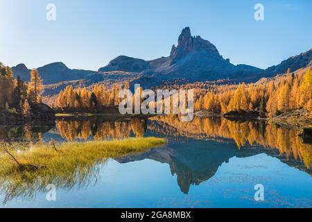 Fantastische Herbstlandschaft. Der Blick auf den Federa See im Herbst. Dolomiten, Cortina Ampezzo, Südtirol, Italien, Europa Stockfoto