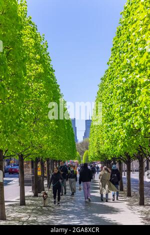 Menschen um das Metropolitan Museum inmitten der Pandemie von COVID-19 NYC. Stockfoto