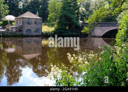 Blick auf den Fluss Derwent bei Froggatt, Derbyshire, mit blühendem Unkraut im Vordergrund und Steinbrücke und Gebäuden dahinter. Stockfoto