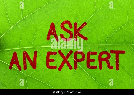 Textunterschrift mit „Fragen Sie einen Experten“. Konzeptionelles Foto Befragen Sie jemanden, der etwas kann oder über sachkundige Ideen zur Präsentation des Naturthemas verfügt Stockfoto
