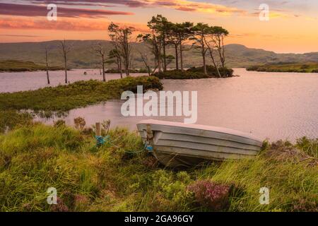 See mit Bäumen auf einer Insel in den schottischen Highlands Stockfoto