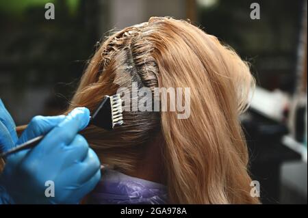 Nahaufnahme des Friseurs, der chemische Farbstoffe auf das Haar des Kunden im Salon anwendet Stockfoto