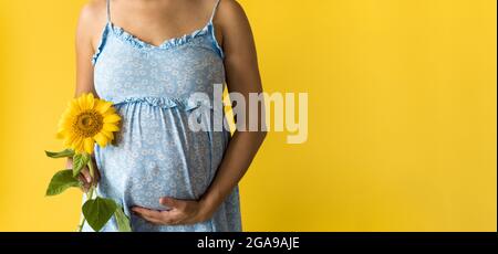 Mutterschaft, Weiblichkeit, heißer Sommer, Natur, Menschen - bannerportrait Schwangere unkenntlich Frau im floralen blauen Kleid halten große frische Live-Sonnenblume Stockfoto