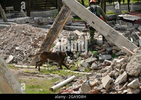 Mexiko-Stadt, Mexiko. Juli 2021. Mexiko-Stadt, Mexiko, 29. Juli 2021: Ein Militär trainiert einen Hund im Rahmen des "Search and Rescue"-Hundetrainings im Hundeausbildungszentrum der mexikanischen Armee, das nach dem Erdbeben von 1985 in Mexiko eingeführt wurde, hat die mexikanische Armee dieses Programm gefördert, um im Falle einer Naturkatastrophe Leben zu retten. Kredit: Carlos Tischler/Eyepix Gruppe/Alamy Live Nachrichten Gutschrift: Eyepix Gruppe/Alamy Live Nachrichten Stockfoto