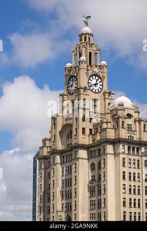 LIVERPOOL, UK - JULI 14 : das Royal Liver Gebäude mit einem Uhrturm in Liverpool, England am 14. Juli 2021. Stockfoto