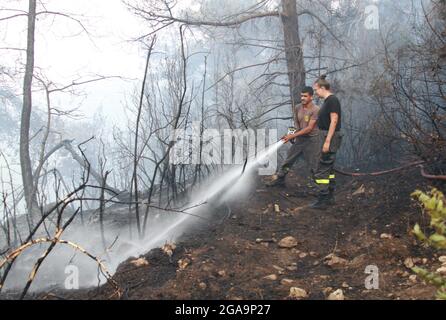 Akkar, Libanon. Juli 2021. Mitglieder der libanesischen Zivilverteidigung kämpfen am 29. Juli 2021 in Akkar, Nordlibanon, gegen ein Wildfeuer. Das massive Feuer, das im nordlibanesischen Dorf Quubaiyat ausbrach, wütete in der Region noch am zweiten Tag, berichtete eine lokale Nachrichtenstelle am Donnerstag. Quelle: Khaled/Xinhua/Alamy Live News Stockfoto