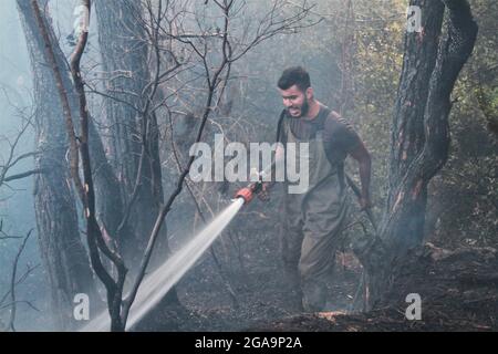 Akkar, Libanon. Juli 2021. Ein Mitglied der libanesischen Zivilverteidigung kämpft am 29. Juli 2021 in Akkar, Nordlibanon, gegen ein Wildfeuer. Das massive Feuer, das im nordlibanesischen Dorf Quubaiyat ausbrach, wütete in der Region noch am zweiten Tag, berichtete eine lokale Nachrichtenstelle am Donnerstag. Quelle: Khaled/Xinhua/Alamy Live News Stockfoto