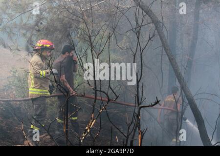 Akkar, Libanon. Juli 2021. Mitglieder der libanesischen Zivilverteidigung kämpfen am 29. Juli 2021 in Akkar, Nordlibanon, gegen ein Wildfeuer. Das massive Feuer, das im nordlibanesischen Dorf Quubaiyat ausbrach, wütete in der Region noch am zweiten Tag, berichtete eine lokale Nachrichtenstelle am Donnerstag. Quelle: Khaled/Xinhua/Alamy Live News Stockfoto