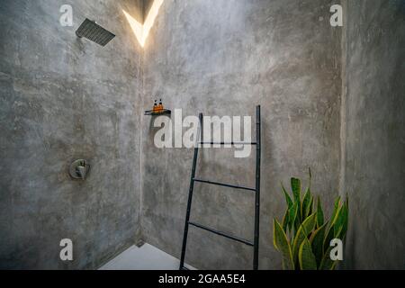 Modernes, luxuriöses Badezimmer mit poliertem Beton an den Wänden. Dusche mit Edelstahldusche und tropischer Zierpflanze Stockfoto