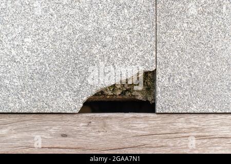 Nahaufnahme von oben Aufnahme des zerbrechlichen Granitoberflächenbodens an der Ecke mit schmutzigem, tiefem Stein im Loch, der von Moos und Algen bedeckt ist. Riss Boden mit Holz Stockfoto