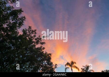 29. Juli 2021: Der Sonnenuntergang in San Diego, Kalifornien, am Donnerstag, 29. Juli 2021. (Bild: © Rishi DekaZUMA Press Wire) Stockfoto