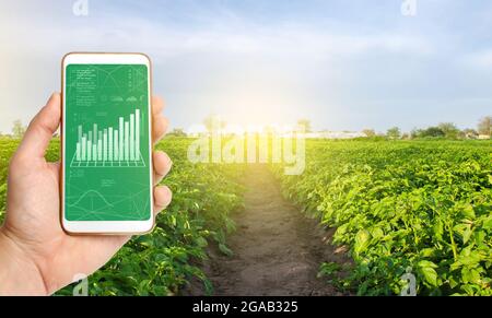 Der Landwirt sammelt Informationen von den Feldern des Bauernhofs. IoT Internet der Dinge in der Landwirtschaft, innovative Technologien in der Landwirtschaft. Analyse und Prognose, Analyse Stockfoto