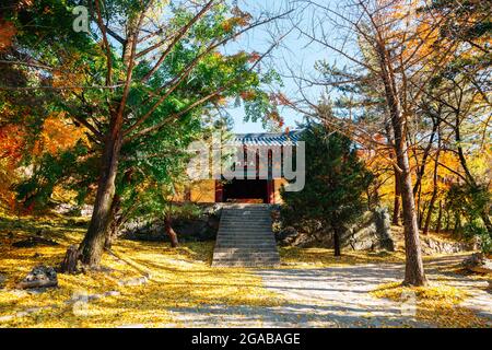 Herbst des Buseoksa-Tempels in Yeongju, Korea Stockfoto