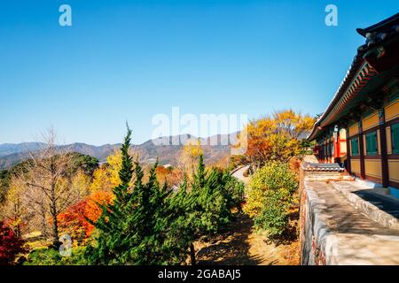 Herbst des Buseoksa-Tempels in Yeongju, Korea Stockfoto