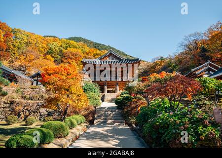 Herbst des Buseoksa-Tempels in Yeongju, Korea Stockfoto